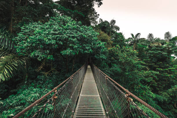 istock Arenal Hanging Bridge, Costa Rica 2150323400
