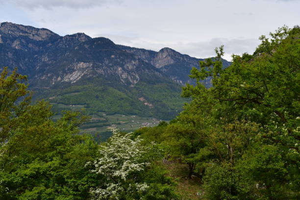 istock Beautiful landscape at Castelfeder in Southtyrol 2150323856