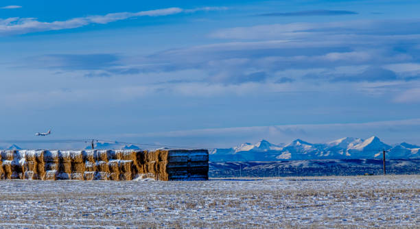 istock Snowy farmers fields, Rocky View County Alberta Canada 2150324788