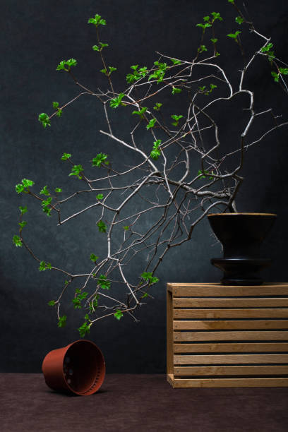 istock Still life with a flowering branch in a vase 2150326522