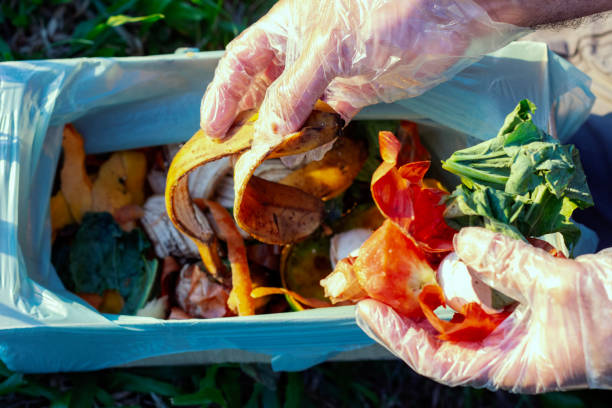 istock Barks and leaves in the sustainability cycle 2150327149