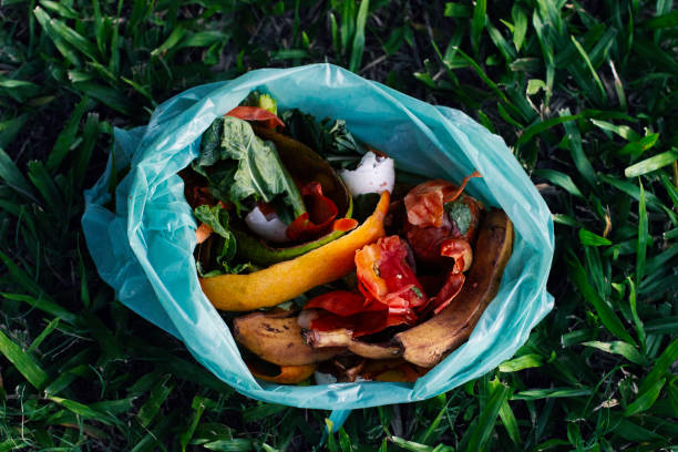 istock Taking care of the planet by reusing food waste 2150327155