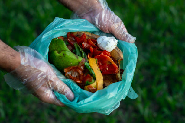 istock Green recycling transforming organic waste 2150327161