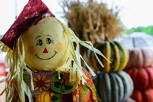 Happy face of scarecrow.