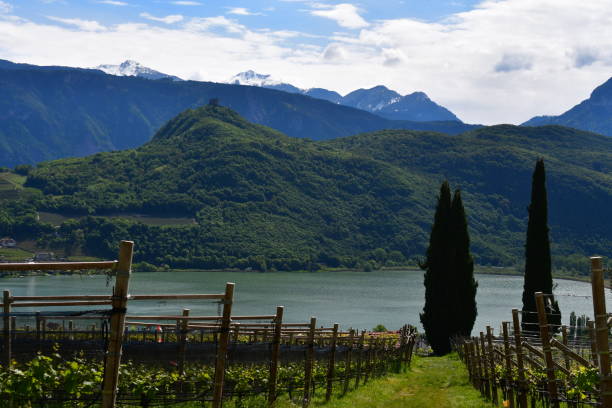 istock View to Lago di Caldaro in Southtyrol 2150332259