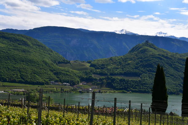 istock View to Lago di Caldaro in Southtyrol 2150332281