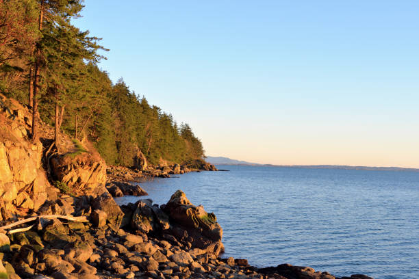 istock Evening light on the coast near Larrabee State Park. 2150332628