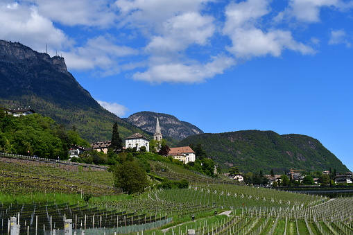 Schöne Landschaft mit Weinbergen beim Kalterer See in Südtirol