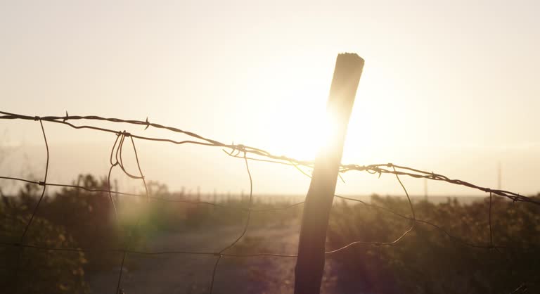 Sunrise behind a fence post with barbed wire, Texas