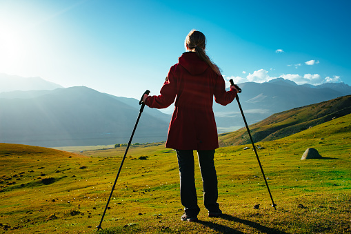 Young woman hiker with trekking poles in the mountains back view