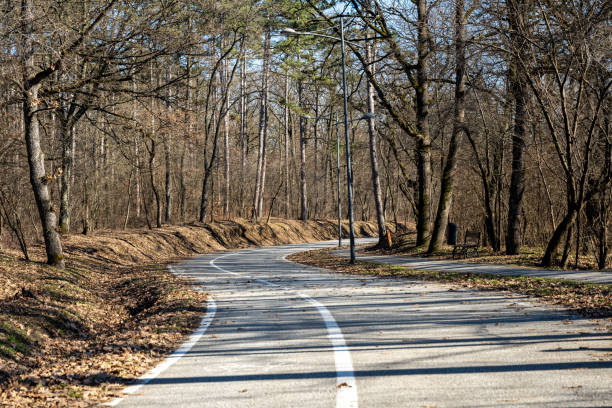 istock Empty bicycle path with markings in a city park. bicycle sign on the bike path. A bicycle path in a quiet park. 2150336076