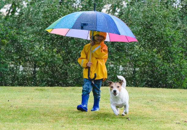 istock Kid in raincoat under umbrella and her dog playing on grass lawn during spring rain 2150339273