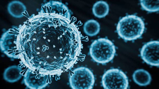 istock HPAI H5N1 virus 2150341687