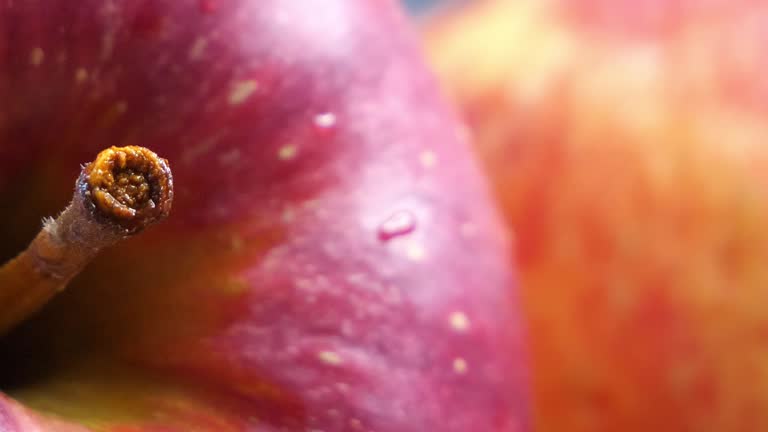 One large ripe Gala apple, close-up. Red apple on a rotating wooden surface.
