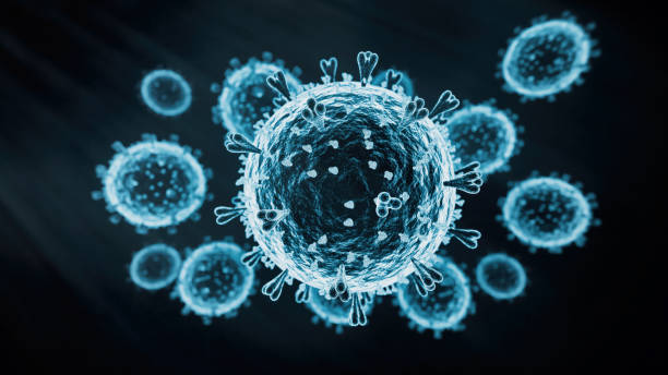 istock HPAI H5N1 virus 2150341706
