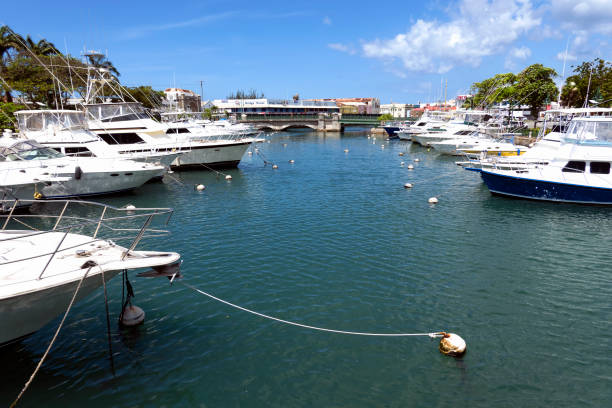 istock The Careenage Marina 2150342129