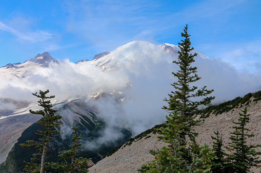 View of Mt. Rainier from the top of a mountain hike, seen through some tall pine trees with a blue sky and wispy clouds