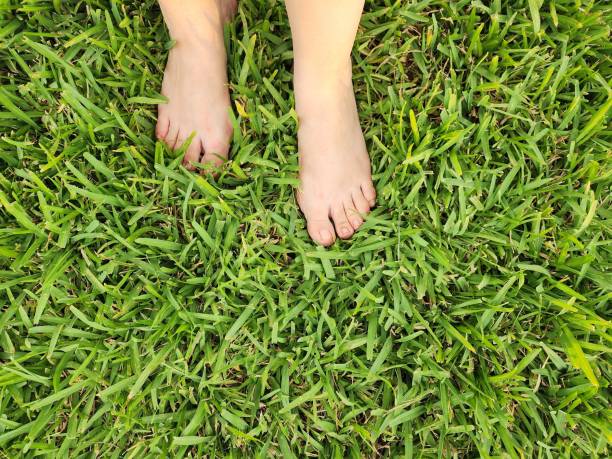 istock feet in contact with nature 2150350401
