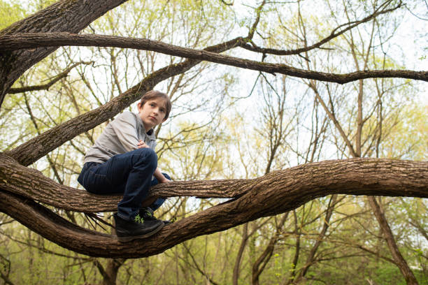 istock 11 year old boy sitting on a tree branch in the park in spring 2150351898