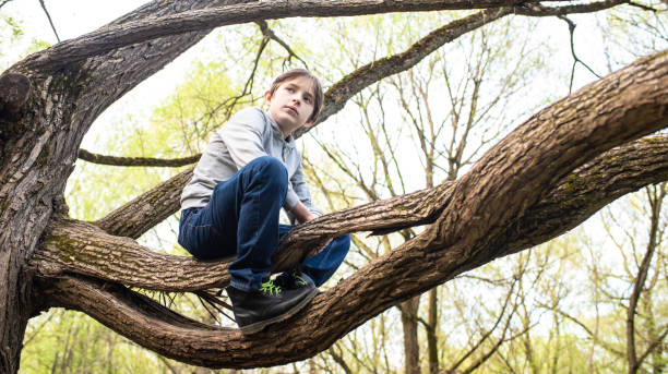 istock 11 year old boy sitting on a tree branch in the park in spring 2150351938