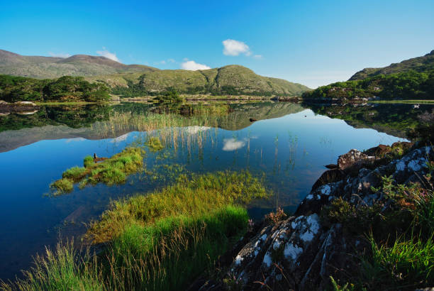Looscaunagh Lough, Killarney National Park, County Kerry, Ireland