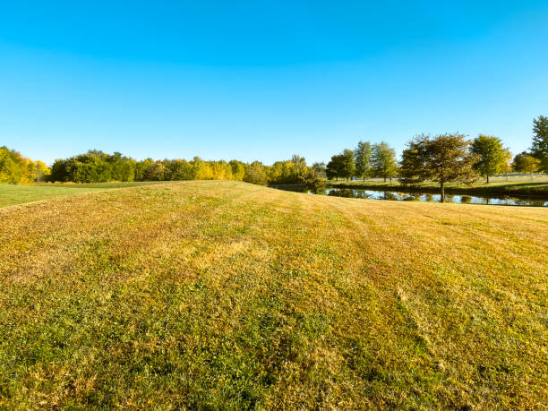 Sloping green hill and land in the forefront of view. Small pond and green leafy trees in the distance. The trees reflect upon the water. Clear blue skies overhead.