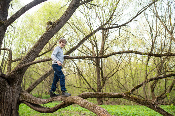 boy climbs a tree, walks along a tree branch in the park in spring