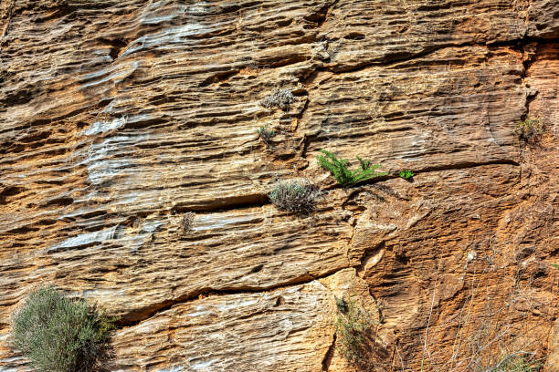 Natural stone surface detailed texture, Penteli mountain, Greece.