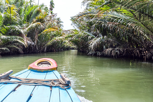 Boat ride along the Mekong River Delta, Vietnam