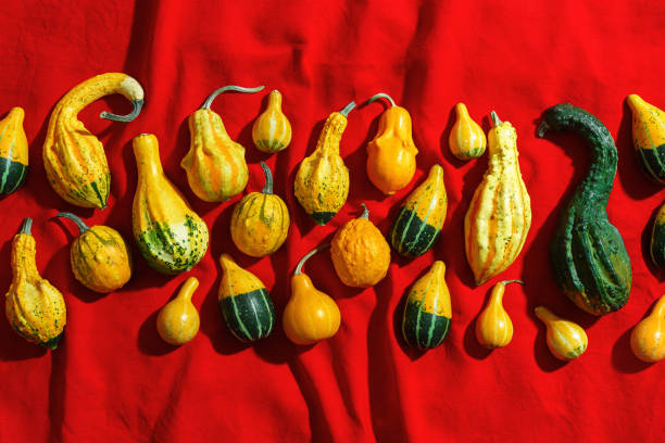 istock Pumpkins pattern, decorative diverse pumpkin, squash, patisson on red cloth background top view. Autumn, fall, halloween holiday concept. Minimal autumnal flat lay with sunlight shadows. 2150365445