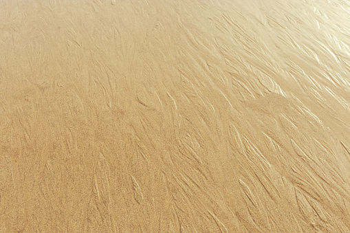 Golden Fine Sand texture natural surface at sunset, shining sunlight. Close up of sand on shore sea, neutral beige color, minimal nature aesthetics wallpaper. Sandy beach for background, copy space.