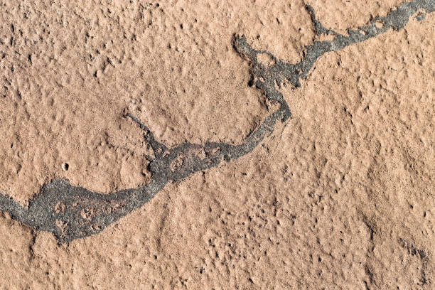 istock Macro photo shore salt lake, design texture pattern concept natural or wallpaper, abstract ornamental surface from sand and mud, dry ground landscape view, aesthetic nature background, curle lines 2150365450