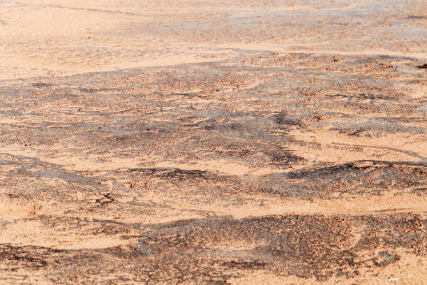 istock Abstract relief rough gritty neutral beige surface of background texture. Aesthetic pattern on sandstone. Top view textured sand, natural ornament or wallpaper, macro photo shore salt lake 2150365451