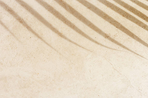 istock Palm tropical leaf shadow on textured concrete background neutral colored. Summer minimal style, sunlight. Beige monochrome summertime backdrop with plant sun shade with natural hard light 2150365460