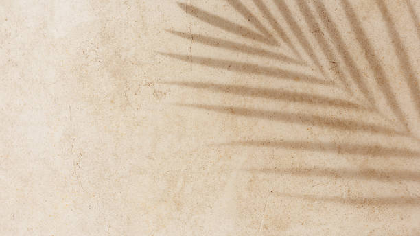 istock Natural palm leaf shadow on light beige sandy color background, banner copyspace. Summer minimal concept, daylight in sunny day, top view plant sun shade, nature environment pattern, neutral tone 2150365462