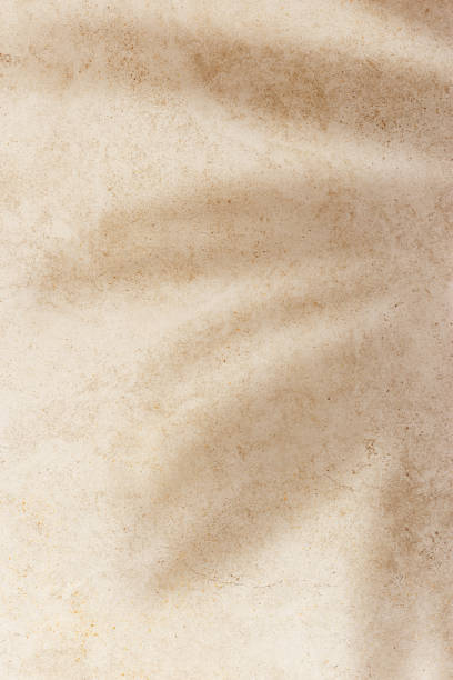 istock Natural palm leaf shadow on light beige sandy color background with empty space. Summer minimal concept, daylight in sunny day, top view plant shade, nature environment pattern, neutral color 2150365465