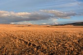 Endless flat steppe with low, yellowed grass before sunset in early autumn.