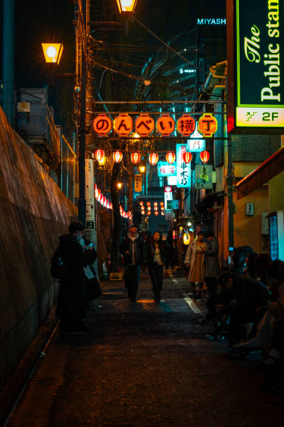 Tokyo, Japan - March 25, 2024: People walking around Nonbei Yokocho at night.