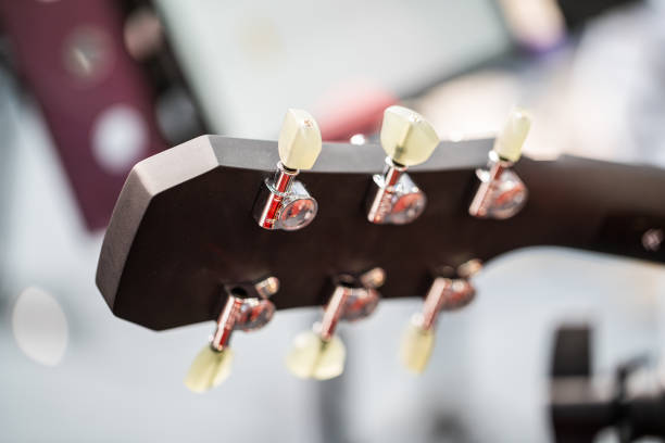 Gypsy acoustic guitar neck on dark background.