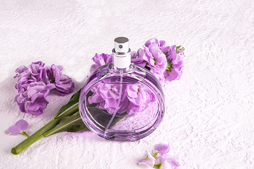 A chic bottle of women's perfume and a delicate lilac color flower. Front view. Unnamed bottle for product introduction. white background.