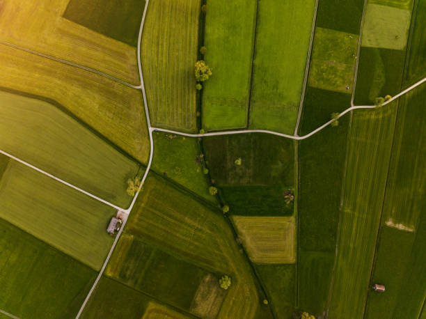 istock Aerial view of agricultural fields in the spring. 2150378419