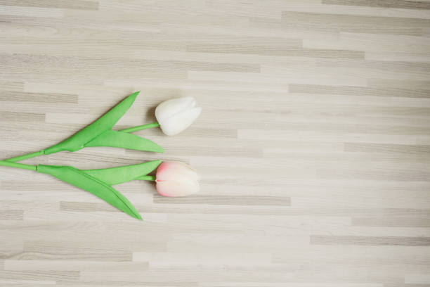 minimal flat lay springtime concept with colorful tulip on modern wood background and copy space
