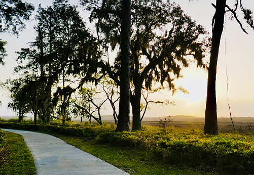 Winding concrete pathway on Jekyll Island, flanked by trees with Spanish moss