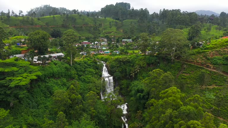 Mountain landscape with tea estate in Sri Lanka.