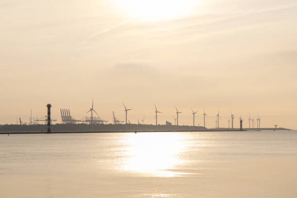 Rotterdam harbor and wind turbines at sunset