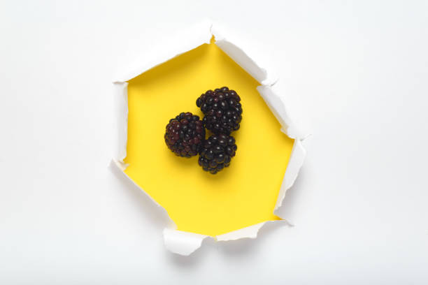 Paper white with torn hole revealing blackberries on yellow background.