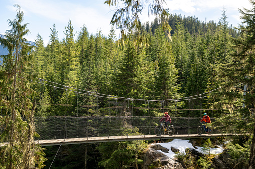 Senior men ride across suspension bridge in temperate rainforest