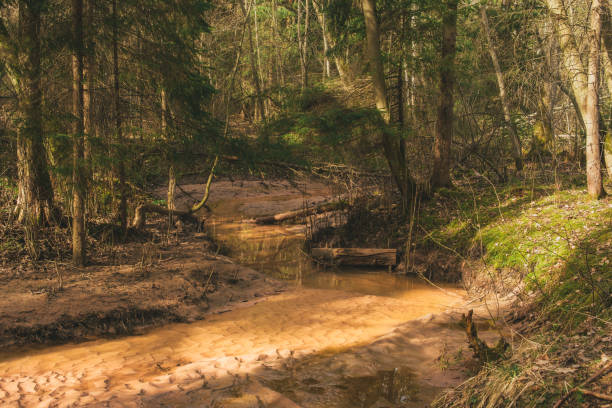 istock Forest Stream: Nature's Serenity Near Licu-Langu Cliffs 2150399023
