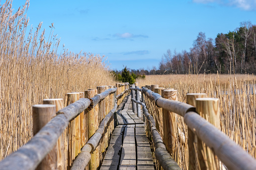 Amidst the rustling reeds of Kanieris, the wooden pathway whispers tales of ancient marshlands, inviting wanderers to embark on a tranquil exploration