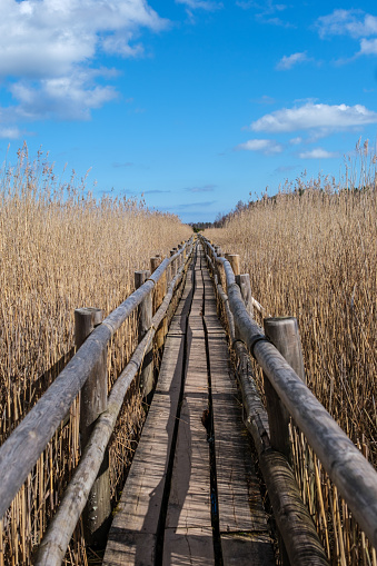 As sunlight filters through the rustling reeds, Kanieris' wooden trail beckons adventurers to immerse themselves in the tranquil embrace of nature.
